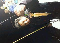 ディープ オーシャン 釣果