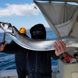 遊漁船　ニライカナイ 釣果
