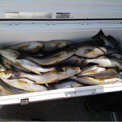 第二大福丸 釣果