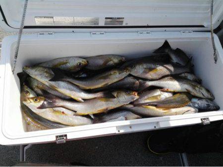 第二大福丸 釣果