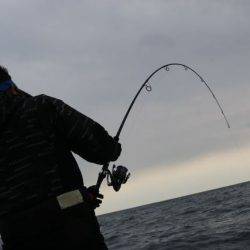 へいみつ丸 釣果