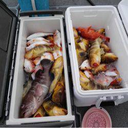 第二大福丸 釣果