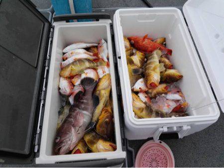 第二大福丸 釣果