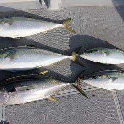 へいみつ丸 釣果