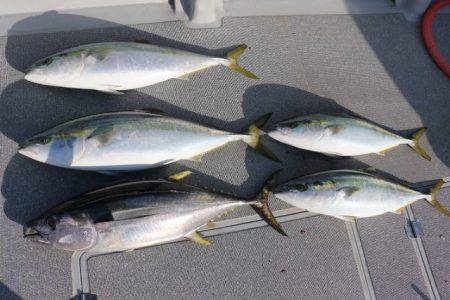 へいみつ丸 釣果