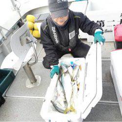 第二大福丸 釣果