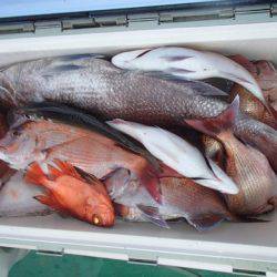 第二むつ漁丸 釣果