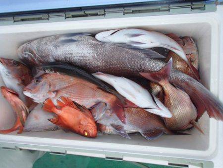 第二むつ漁丸 釣果