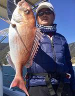 YELLOW-TAIL イエローテール 釣果