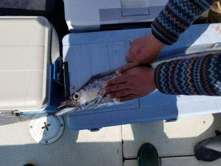 遊漁船　ニライカナイ 釣果