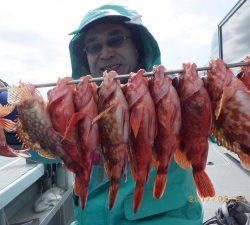 石川丸 釣果