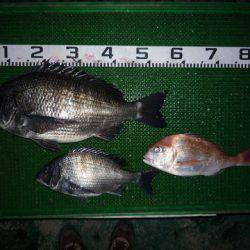 海山フィッシングセンター 釣果