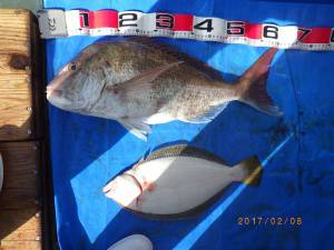 石川丸 釣果