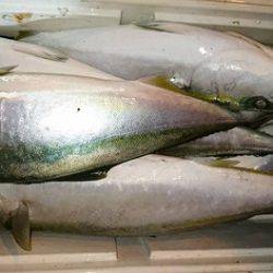 スカイマリン 釣果