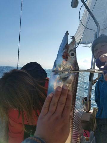 遊漁船　ニライカナイ 釣果