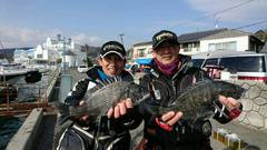 まこと渡船 釣果