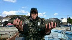 まこと渡船 釣果