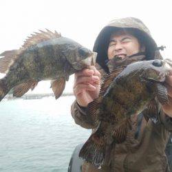 Magic(マジック) 釣果