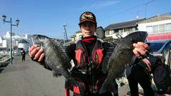 まこと渡船 釣果