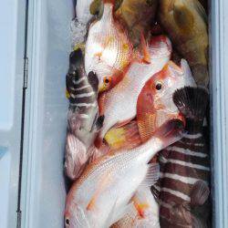 第二大福丸 釣果