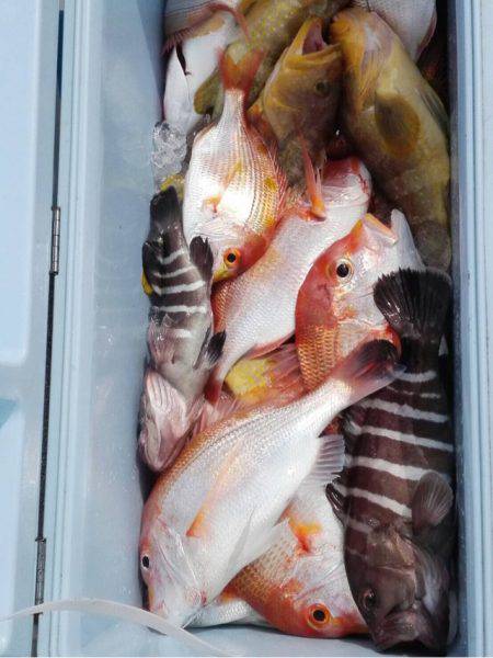 第二大福丸 釣果