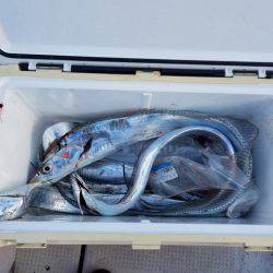 遊漁船　ニライカナイ 釣果