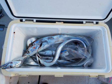 遊漁船　ニライカナイ 釣果