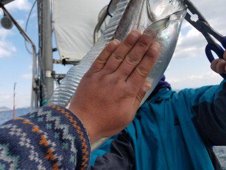 遊漁船　ニライカナイ 釣果