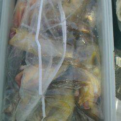 第二大福丸 釣果