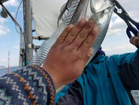 遊漁船　ニライカナイ 釣果