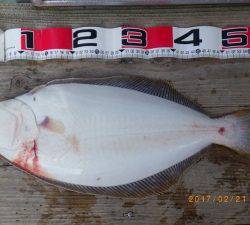 石川丸 釣果