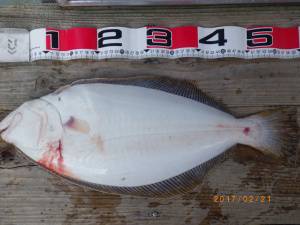 石川丸 釣果