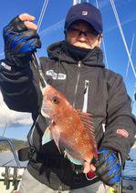 YELLOW-TAIL イエローテール 釣果