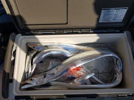 遊漁船　ニライカナイ 釣果