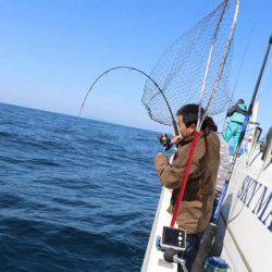 スカイマリン 釣果