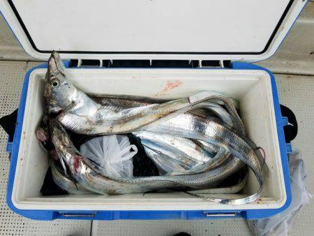 遊漁船　ニライカナイ 釣果