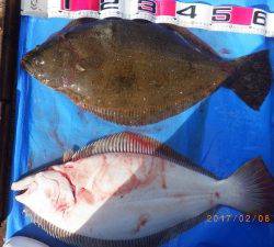 石川丸 釣果