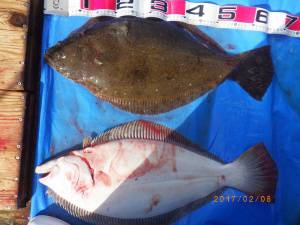 石川丸 釣果