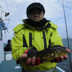 大進丸（愛知） 釣果