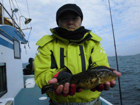 大進丸（愛知） 釣果