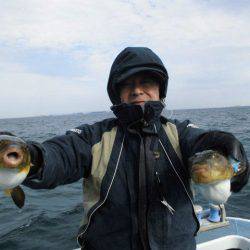 大進丸（愛知） 釣果