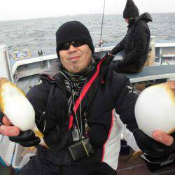 大進丸（愛知） 釣果
