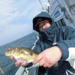 大進丸（愛知） 釣果