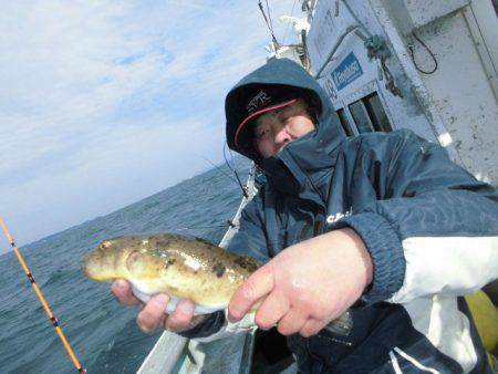 大進丸（愛知） 釣果