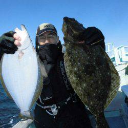 大進丸（愛知） 釣果