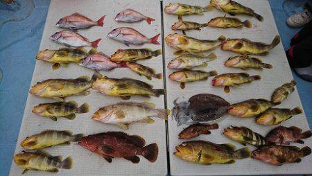 海人丸（うみんちゅまる） 釣果