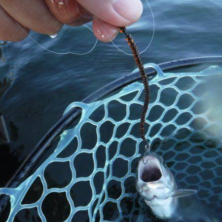 浜名湖フィッシングリゾート 釣果