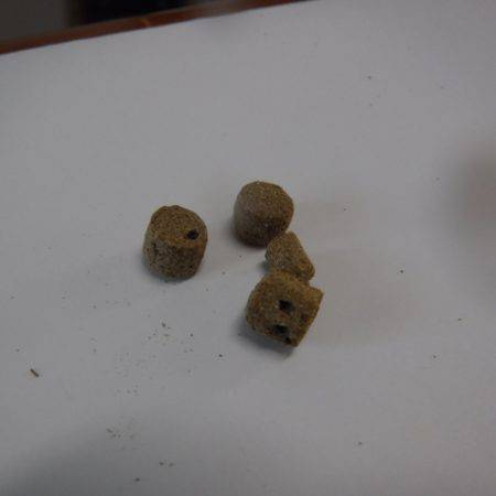 浜名湖フィッシングリゾート 釣果