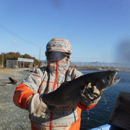 浜名湖フィッシングリゾート 釣果