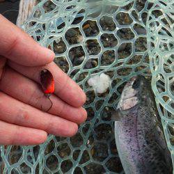 浜名湖フィッシングリゾート 釣果